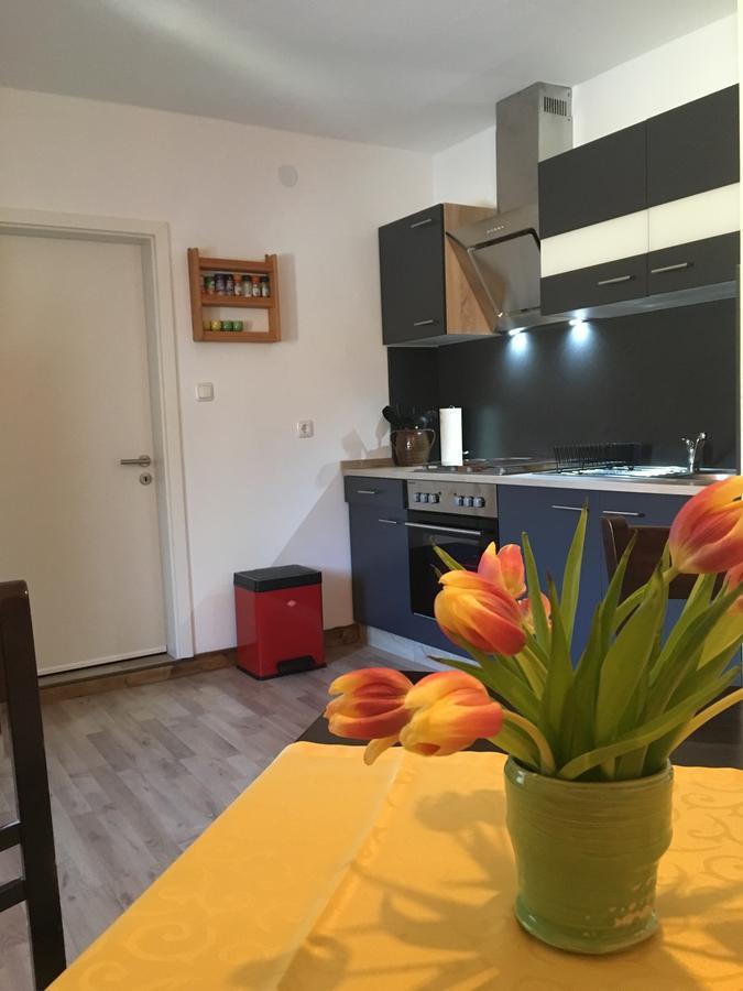 Ferienwohnung Richtermuehle Saupsdorf Kültér fotó