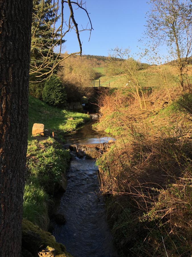 Ferienwohnung Richtermuehle Saupsdorf Kültér fotó